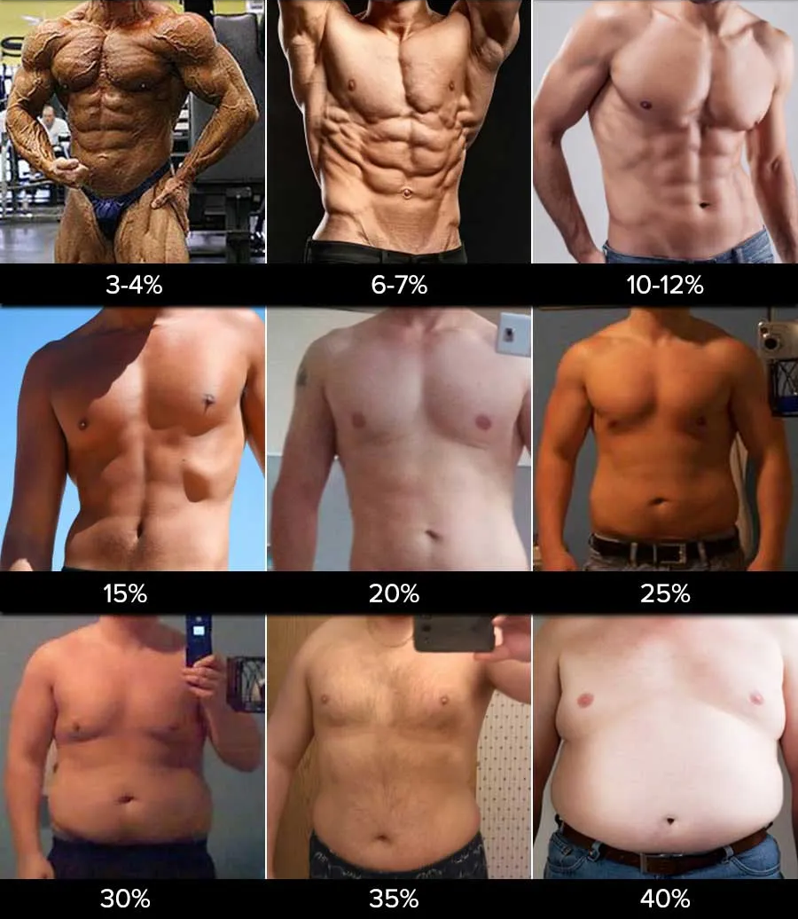 Body fat visual reference